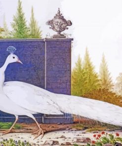 The White Peacock Bird Paint By Numbers