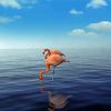 Aruba Flamingos In Water Paint By Numbers