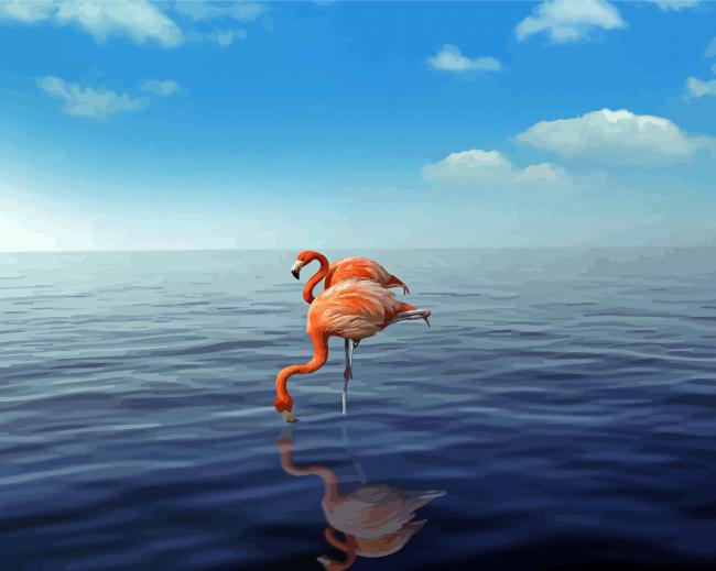Aruba Flamingos In Water Paint By Numbers