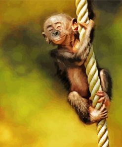 Baby Monkey APE Paint By Numbers