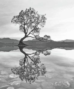 Black And White Wanaka Tree New Zealand Paint By Numbers