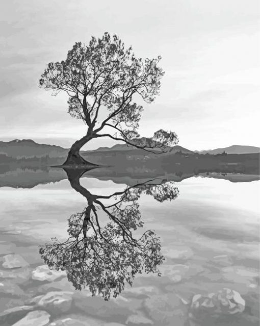 Black And White Wanaka Tree New Zealand Paint By Numbers