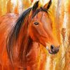 Brown Bay Horse Paint By Numbers