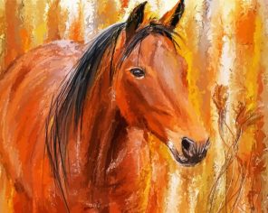 Brown Bay Horse Paint By Numbers