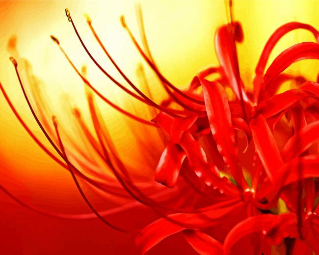 Close Up Red Spider Lily Paint By Numbers