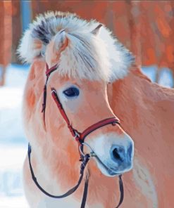 Cute Fjord Horse Paint By Numbers