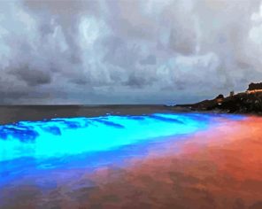 Glowing Algae Beach Paint By Numbers