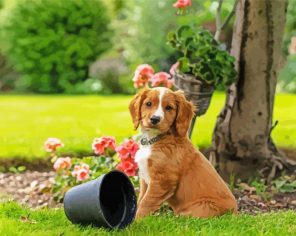 Golden Working Cocker Spaniel Puppy Paint By Numbers