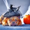 Halloween Pug Paint By Numbers