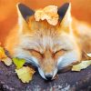 Sleeping Fox In Forest Paint By Numbers