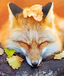 Sleeping Fox In Forest Paint By Numbers