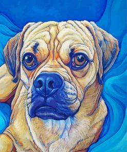 Puggle Dog Art Paint By Numbers