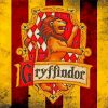 Gryffindor Logo Paint By Numbers