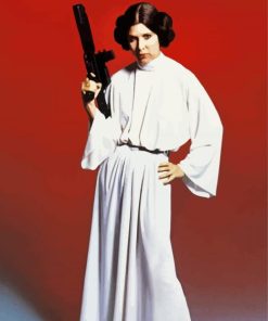 Princess Leia Paint By Numbers