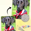 Custom Painting By Numbers​ Pets