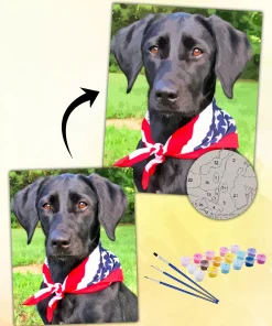 Custom Painting By Numbers​ Pets