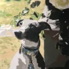 Custom Painting By Numbers​ Pets gallery image 1