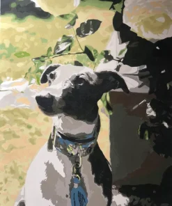 Custom Painting By Numbers​ Pets gallery image 1