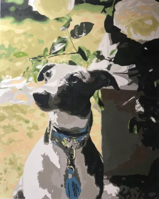 Custom Painting By Numbers​ Pets gallery image 1