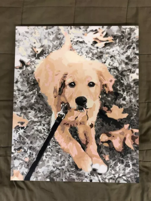 Custom Painting By Numbers​ Pets gallery image 2