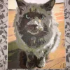 Custom Painting By Numbers​ Pets gallery image 3