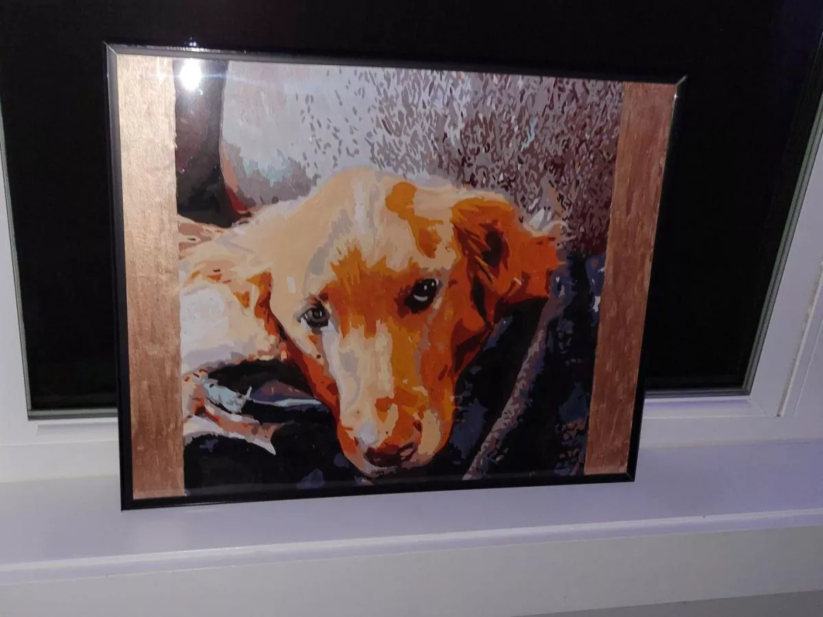Custom Painting By Numbers​ Pets rev 2