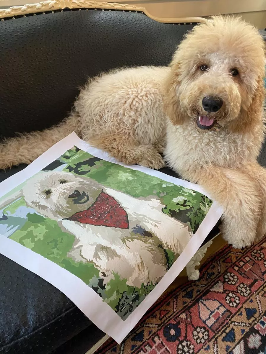 Custom Painting By Numbers​ Pets rev 3