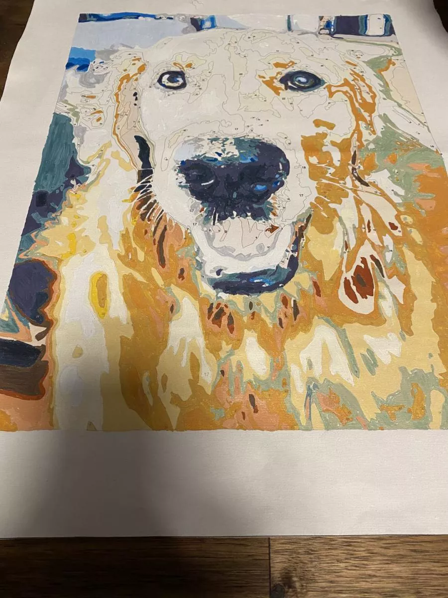 Custom Painting By Numbers​ Pets rev 4
