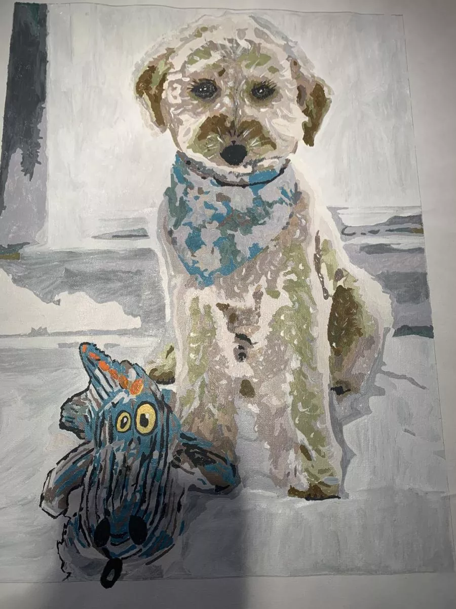 Custom Painting By Numbers​ Pets rev 5