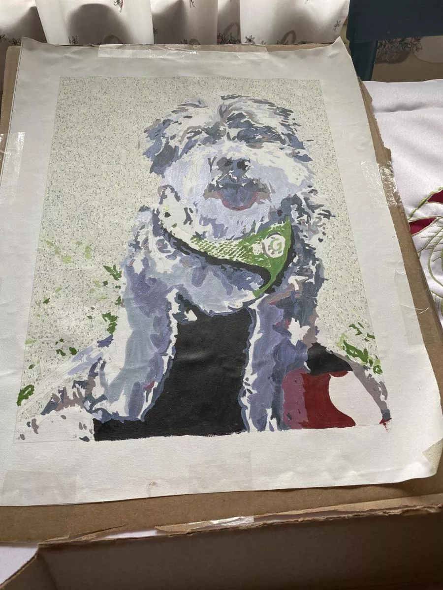 Custom Painting By Numbers​ Pets rev 6