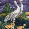 Sandhill Crane Paint By Numbers