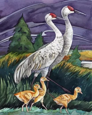 Sandhill Crane Paint By Numbers