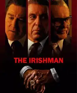 The Irishman Movie Poster Paint By Numbers